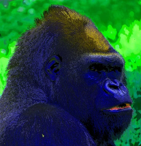 Gorilla Jel Illusztráció Pop Art Háttér Ikon Színes Foltok — Stock Fotó