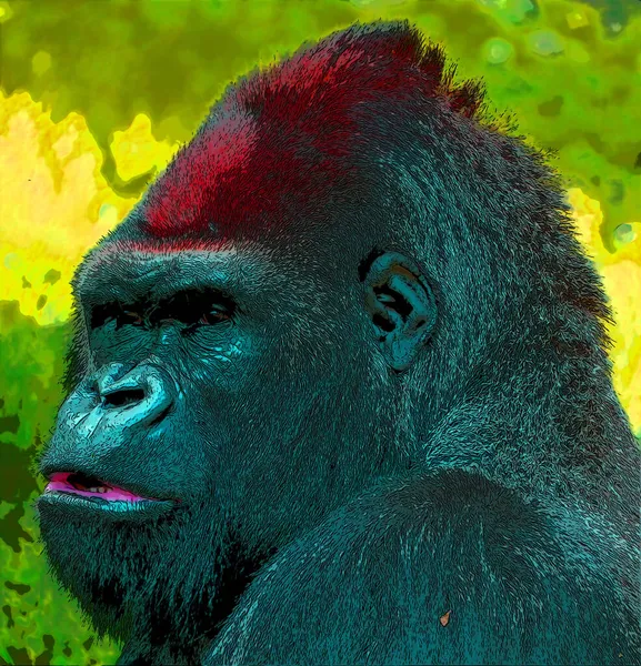 Gorilla Zeichen Illustration Pop Art Hintergrund Symbol Mit Farbflecken — Stockfoto