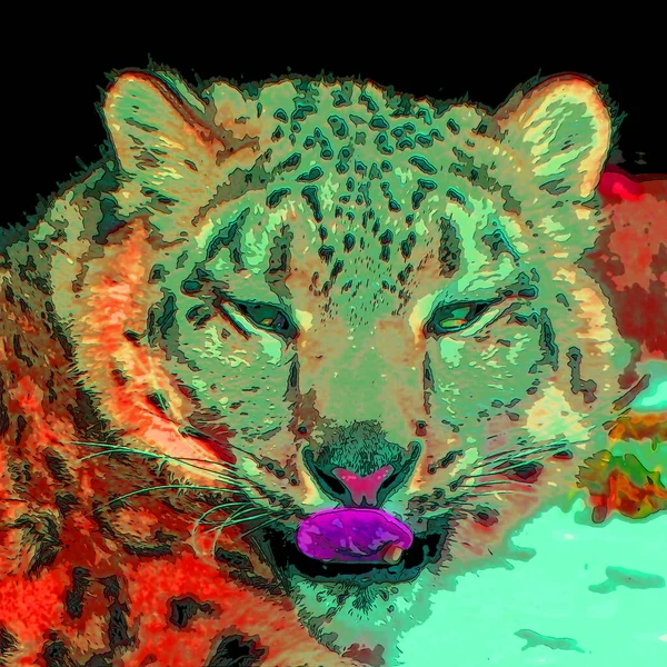 Snow Leopardo Sinal Ilustração Pop Art Ícone Fundo Com Manchas — Fotografia de Stock