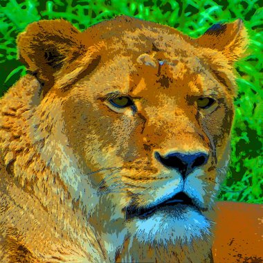 Aslan işareti resimleme canlı renk benekleri olan pop-art arkaplan simgesi