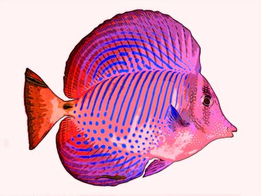 Melek balığı renk lekeli pop-art arkaplan simgesini imzalar