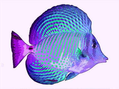 Melek balığı renk lekeli pop-art arkaplan simgesini imzalar