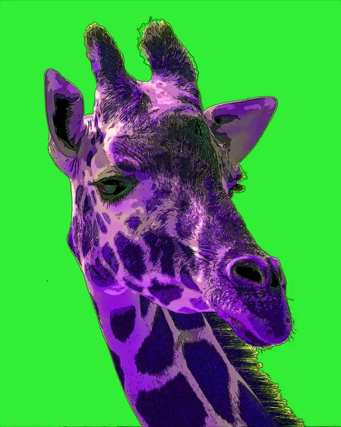 Giraffe Sign Illustration Pop Art Background Icon Color Spots — Stock Photo, Image