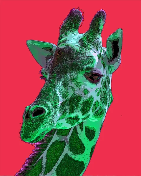长颈鹿标志图为带有色斑的流行艺术背景图标 — 图库照片