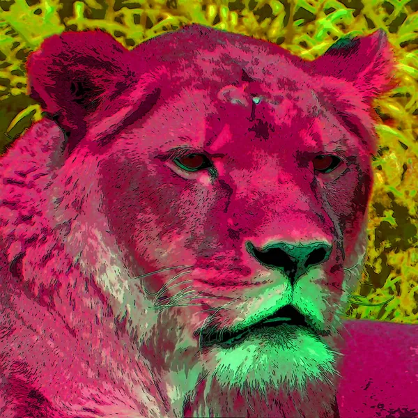 Lion Sign Illustration Pop Art Background Icon Vivid Color Spots — Stock Photo, Image