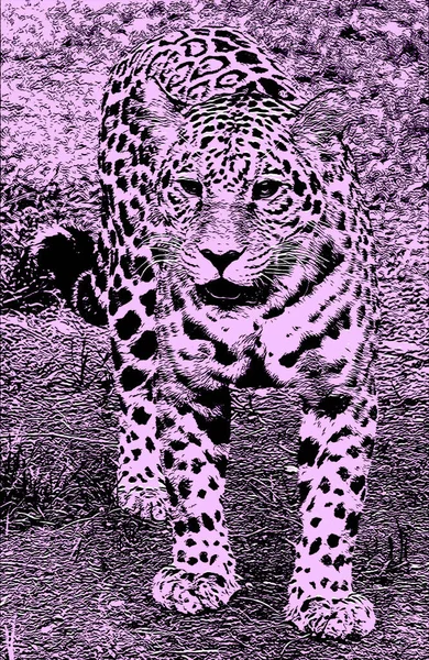 Amur Leoparı Işaret Işareti Renk Lekeli Pop Art Arkaplan Simgesi — Stok fotoğraf