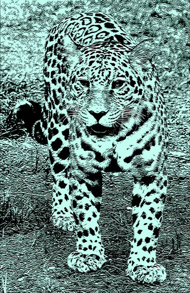 Amur Leopardo Signo Ilustración Pop Art Icono Fondo Con Manchas — Foto de Stock