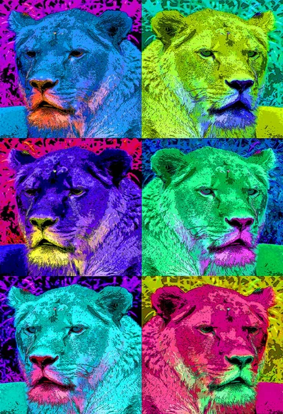 狮子标志图上有鲜明色彩的流行艺术背景图标 — 图库照片