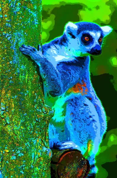 Lemur Sinal Ilustração Pop Art Ícone Fundo Com Manchas Cor — Fotografia de Stock