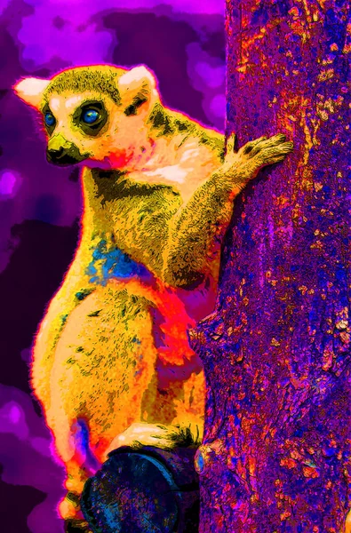 Lemur Znamení Ilustrace Pop Art Pozadí Ikona Barevnými Skvrnami — Stock fotografie