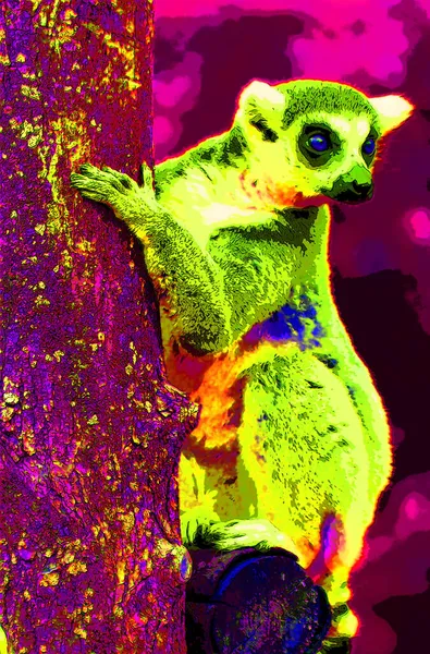 Lemur Teken Illustratie Pop Art Achtergrond Pictogram Met Kleurvlekken — Stockfoto