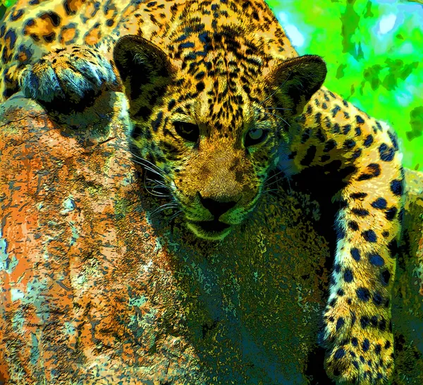 Jaguar Sinal Ilustração Pop Art Ícone Fundo Com Manchas Cor — Fotografia de Stock