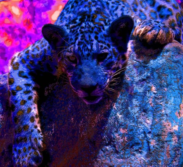 Jaguar Znak Ilustracja Pop Art Tło Ikona Kolorowe Plamy — Zdjęcie stockowe
