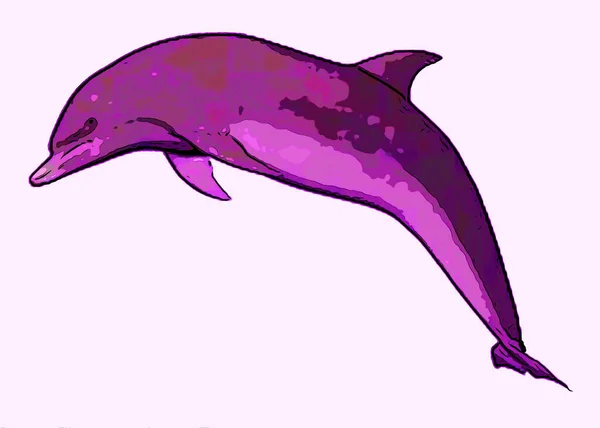 Delfin Jel Illusztráció Pop Art Háttér Ikon Színes Foltok — Stock Fotó