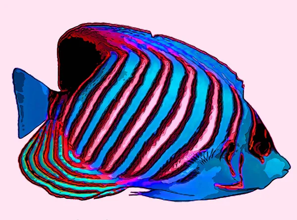 Angelfish Sign Illustration Pop Art Background Icon Color Spot — 스톡 사진