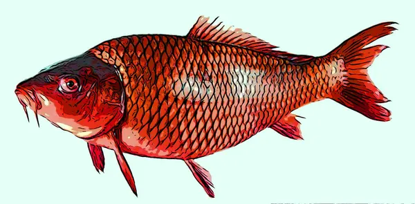 Carpa Pesce Segno Illustrazione Pop Art Sfondo Icona Con Macchie — Foto Stock