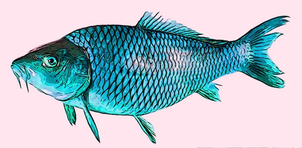 Паровий Знак Риби Ілюстрація Поп Арт Значок Фону Кольоровими Плямами — стокове фото