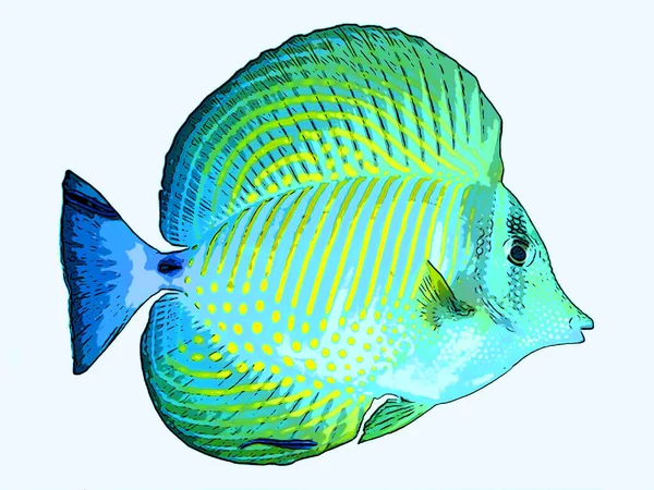 Angelfish Teken Illustratie Pop Art Achtergrond Pictogram Met Kleurvlekken — Stockfoto