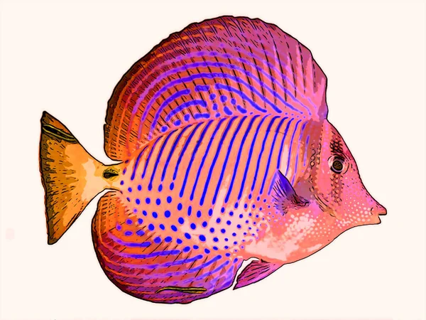 天使鱼标志图为带有色斑的流行艺术背景图标 — 图库照片