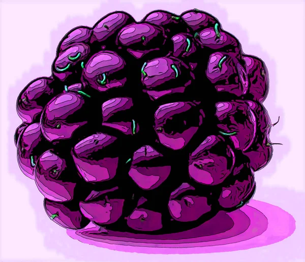 Blackberry Teken Illustratie Pop Art Achtergrond Pictogram Met Kleurvlekken — Stockfoto