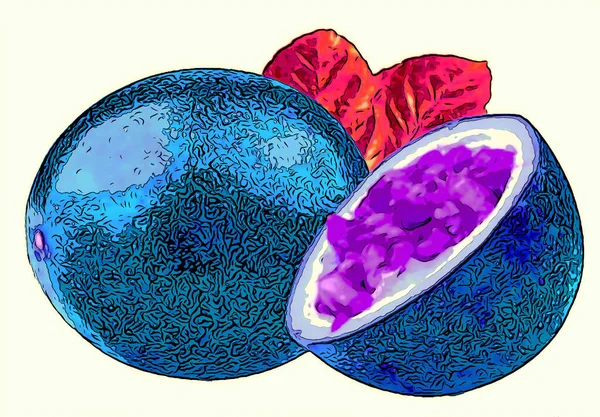 Passie Fruit Teken Illustratie Pop Art Achtergrond Pictogram Met Kleur — Stockfoto