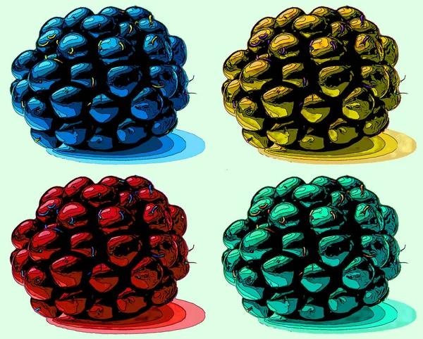 Blackberry Segno Illustrazione Pop Art Icona Sfondo Con Macchie Colore — Foto Stock