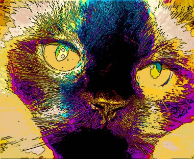 Himalaya, kedigiller (Felidae) familyasından bir kedi türü.