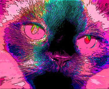 Himalaya, kedigiller (Felidae) familyasından bir kedi türü.