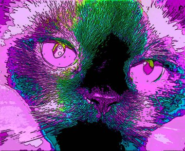 Himalaya, kedigiller (Felidae) familyasından bir kedi türü.