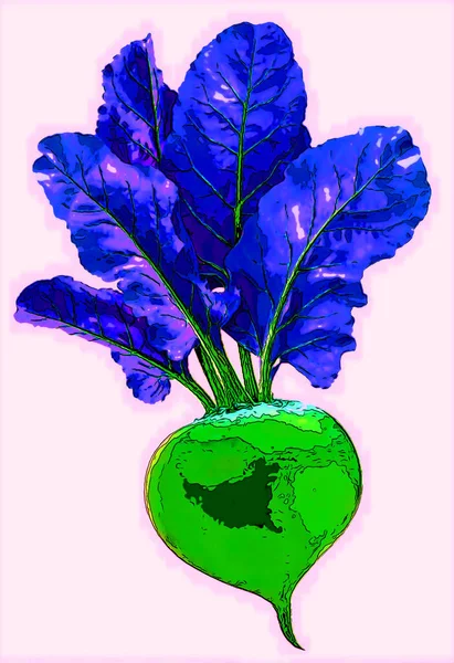 Beet Leaves Zeichen Illustration Pop Art Hintergrund Symbol Mit Farbflecken — Stockfoto