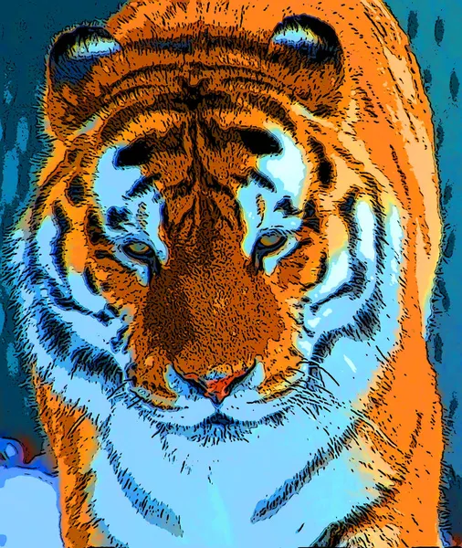 Tiger Zeichen Illustration Pop Art Hintergrund Symbol Mit Farbflecken — Stockfoto