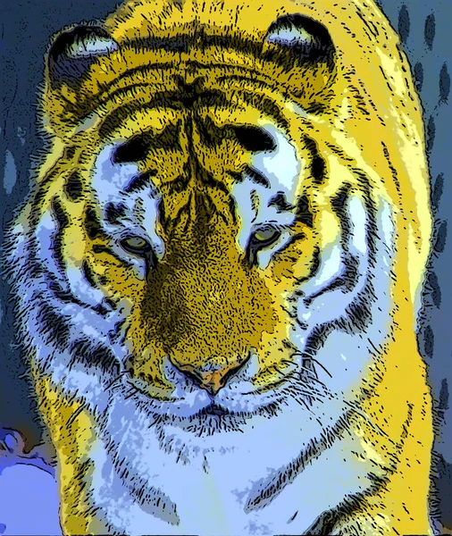 Tigre Signo Ilustración Pop Art Icono Fondo Con Manchas Color — Foto de Stock