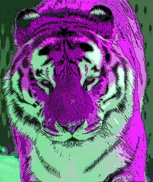 Tiger Zeichen Illustration Pop Art Hintergrund Symbol Mit Farbflecken — Stockfoto