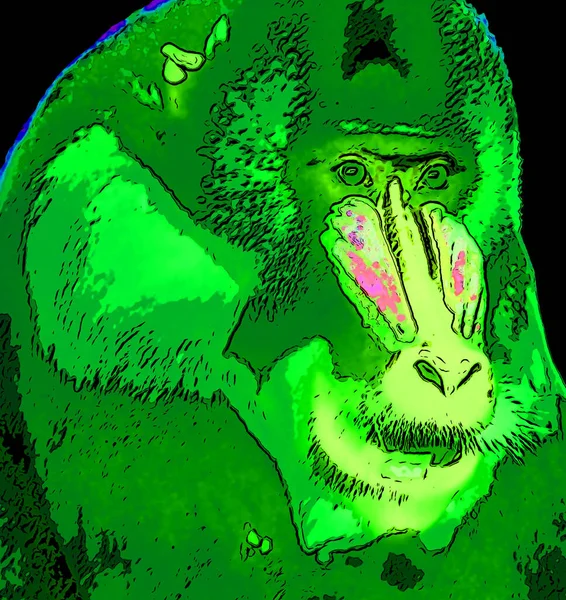 Mandrill Mandrillus Sphinx Primate Del Icono Fondo Pop Art Ilustración — Foto de Stock