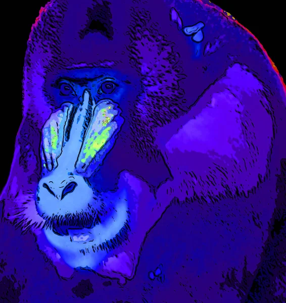 Mandrill Mandrillus Sphinx Primate Del Icono Fondo Pop Art Ilustración — Foto de Stock
