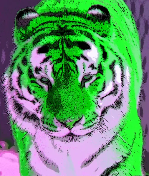 Tiger Σύμβολο Εικονογράφηση Pop Art Εικονίδιο Φόντου Κηλίδες Χρώματος — Φωτογραφία Αρχείου