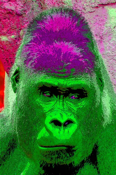 Goril Işareti Renk Lekeli Pop Art Arkaplan Simgesi — Stok fotoğraf