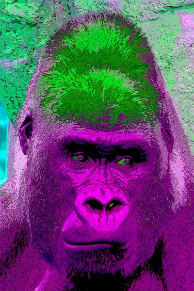 Gorilla Σημάδι Εικονογράφηση Pop Art Εικονίδιο Φόντου Κηλίδες Χρώματος — Φωτογραφία Αρχείου