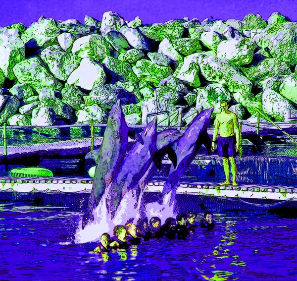 Xcaret Mexico 2003 Дельфины Перепрыгивают Через Группу Туристов Xcaret Является — стоковое фото