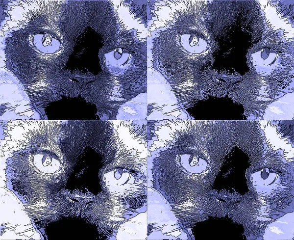 มาล ยเป นสายพ อสายพ อยของส กษณ แมวผมยาวภาพประกอบไอคอนพ นหล อปอาร — ภาพถ่ายสต็อก