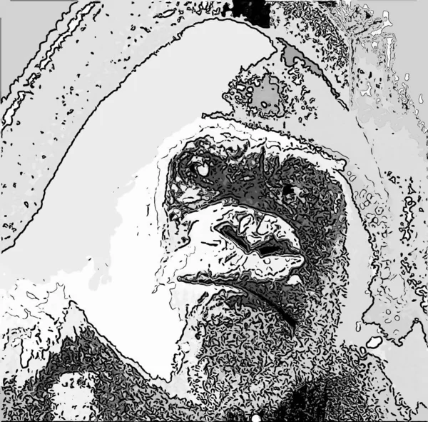 Albino Gorilla Hópihe Jel Illusztráció Pop Art Háttér Ikon Színes — Stock Fotó