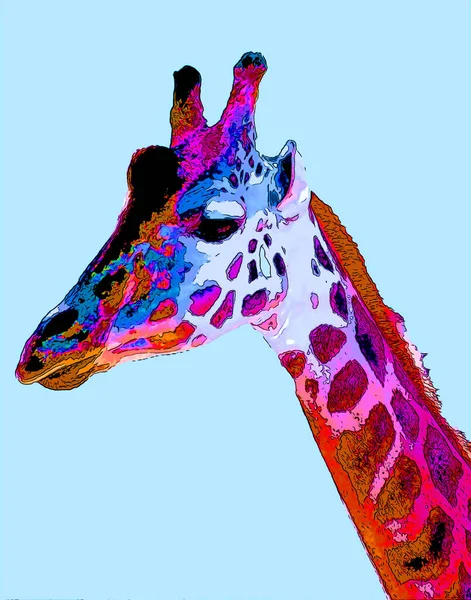 Zürafa Renk Lekeli Pop Art Arkaplan Simgesi Imzası — Stok fotoğraf