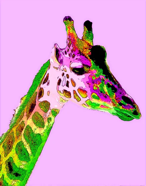 キリンの看板イラスト ポップアートの背景アイコン カラースポット付 — ストック写真