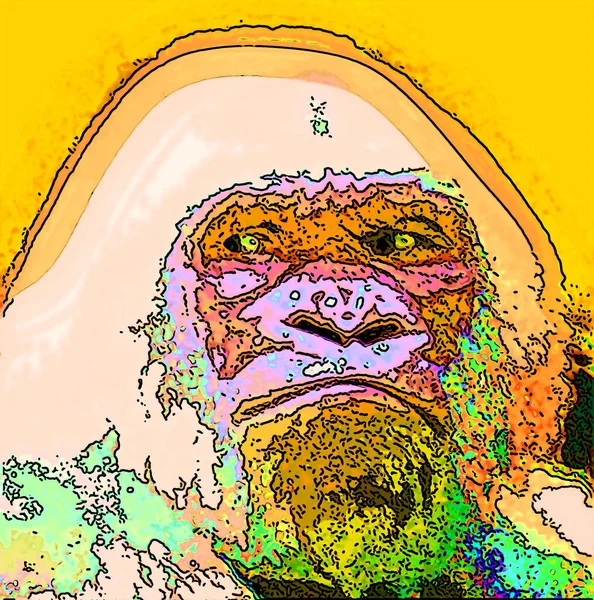 Albino Gorila Floco Neve Sinal Ilustração Ícone Fundo Pop Art — Fotografia de Stock