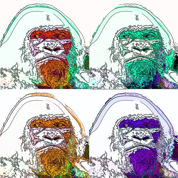 Albino Gorilla Schneeflocke Zeichen Illustration Pop Art Hintergrund Symbol Mit — Stockfoto
