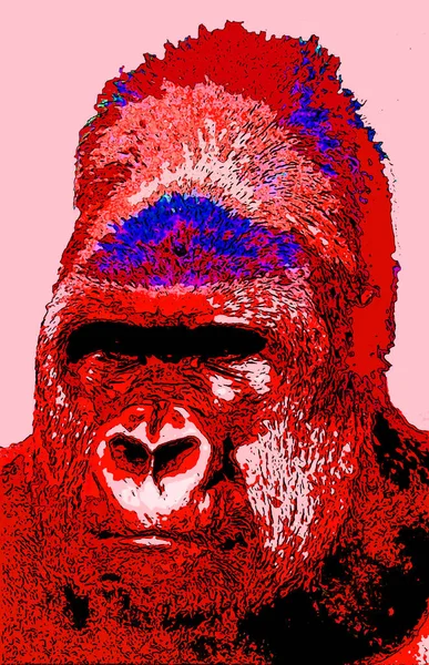 Gorila Znamení Ilustrace Pop Art Pozadí Ikona Barevnými Skvrnami — Stock fotografie