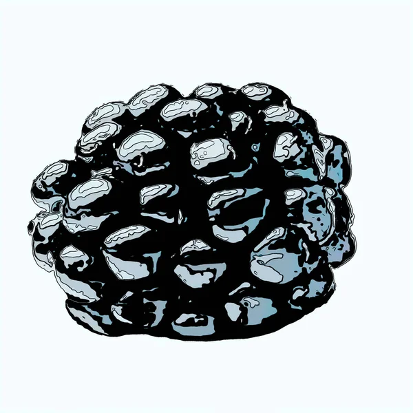 Blackberry Sign Illustration Pop Art Background Icon Color Spots — Stock Photo, Image