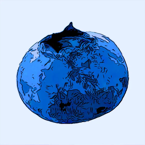 Blueberry Sinal Ilustração Pop Art Ícone Fundo Com Manchas Cor — Fotografia de Stock