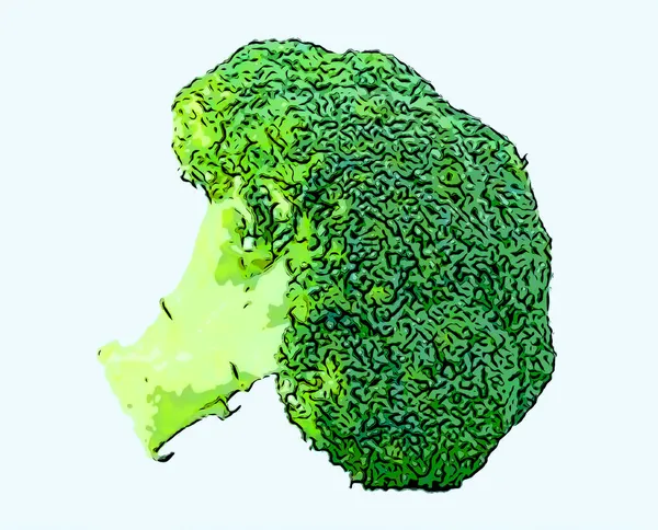 花椰菜健康营养产品绿色蔬菜标志插图流行艺术背景图标与色斑 — 图库照片