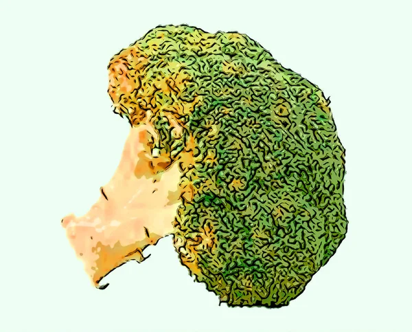 Broccoli Hälsosam Kost Produkt Grön Grönsak Tecken Illustration Pop Art — Stockfoto